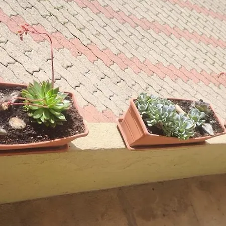 La Casa Di Pepe Apartment